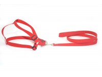 Комплект капроновий 2,0 см Лорік середній для тварин Zoo-hunt червоний 