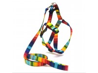 Комплект поводок та шлея для собак Zoo-hunt капронову 1,0 см Веселка 