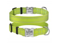 Нашийник для Собак BronzeDog Active Нейлоновий зі Світловідбиттям та Металевою Пряжкою Салатовий M(33/1305/Т) Нашийник для Собак BronzeDog Active Нейлоновий зі Світловідбиттям та Металевою Пряжкою Салатовий M(33/1305/Т)