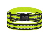 Нашийник для Собак BronzeDog Mesh з Металевою Пряжкою Лимонний M(47/1605/Т) Нашийник для Собак BronzeDog Mesh з Металевою Пряжкою Лимонний M(47/1605/Т)