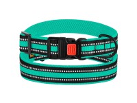 Нашийник для Собак BronzeDog Mesh з Пластиковою Пряжкою Ментоловий S(50/1608/Т) Нашийник для Собак BronzeDog Mesh з Пластиковою Пряжкою Ментоловий S(50/1608/Т)