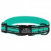 Нашийник для Собак BronzeDog Mesh з Металевою Пряжкою Ментоловий L(48/1608/Т) Нашийник для Собак BronzeDog Mesh з Металевою Пряжкою Ментоловий L(48/1608/Т)