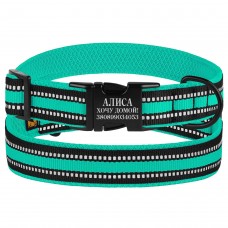 Нашийник для Собак BronzeDog Mesh з Металевою Пряжкою Ментоловий XL(66/1608/Т) Нашийник для Собак BronzeDog Mesh з Металевою Пряжкою Ментоловий XL(66/1608/Т)