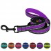 Повідець для Собак BronzeDog Mesh 2 в 1 Фіолетовий  S(60/1607/Т) 