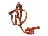 Комплект капроновий 1,0 см Тренд шлея та повідок для тварин Zoo-hunt помаранчевий 