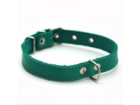 Нашийник для собак Zoo-hunt шкіряний О м'ятний 1,0/17-22 см