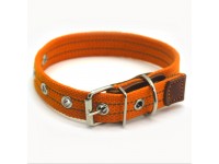 Нашийник для собак Zoo-hunt брезентовий світловідбивний помаранчевий ОБ світл. 2,0/30-40 см