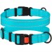 Нашийник для Собак BronzeDog Active Нейлоновий зі Світловідбиттям та Пластиковою Пряжкою Блакитний  XL(53/1222/Т) 