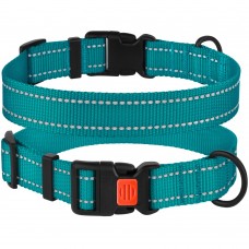 Нашийник для Собак BronzeDog Active Нейлоновий зі Світловідбиттям та Пластиковою Пряжкою Бірюзовий  S(50/1225/Т) 