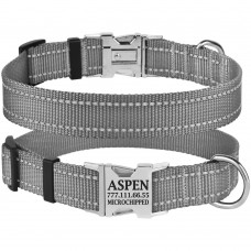 Нашийник для Собак BronzeDog Active Нейлоновий зі Світловідбиттям та Металевою Пряжкою Сірий  XL(38/1311/Т) 