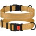 Нашийник для Собак BronzeDog Active Нейлоновий зі Світловідбиттям та Пластиковою Пряжкою Золотистий  XL(53/1226/Т) 
