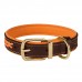 Нашийник для Собак Шкіряний BronzeDog Premium з Литою Латунною Фурнітурою та Адресником Коричнево-Помаранчевий  XL(61084/Т) 
