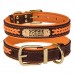 Нашийник для Собак Шкіряний BronzeDog Premium з Литою Латунною Фурнітурою та Адресником Коричнево-Помаранчевий  XL(61084/Т) 