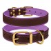 Нашийник для Собак Шкіряний BronzeDog Premium з Литою Латунною Фурнітурою та Адресником Коричнево-Фіолетовий  L(62079/Т) 