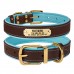 Нашийник для Собак Шкіряний BronzeDog Premium з Литою Латунною Фурнітурою та Адресником Коричнево-Блакитний  S(62052/Т) 