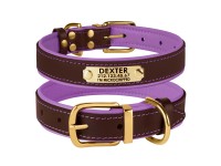 Нашийник для Собак Шкіряний BronzeDog Premium з Литою Латунною Фурнітурою та Адресником Коричнево-Фіолетовий  XL(62089/Т) 