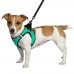 Шлея для собак Barksi Sport Vest неопрен 3D сітка бірюзова  L(76613/Т) 