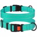 Нашийник для Собак BronzeDog Active Нейлоновий зі Світловідбиттям та Пластиковою Пряжкою Ментоловий  S(50/1308/Т) 