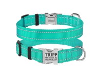 Нашийник для Собак BronzeDog Active Нейлоновий зі Світловідбиттям та Металевою Пряжкою Ментоловий M(33/1308/Т) Нашийник для Собак BronzeDog Active Нейлоновий зі Світловідбиттям та Металевою Пряжкою Ментоловий M(33/1308/Т)