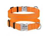 Нашийник для Собак BronzeDog Active Нейлоновий зі Світловідбиттям та Металевою Пряжкою Помаранчевий  XL(38/1304/Т) 
