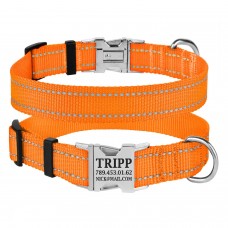 Нашийник для Собак BronzeDog Active Нейлоновий зі Світловідбиттям та Металевою Пряжкою Помаранчевий  S(32/1304/Т) 