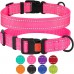Нашийник для Собак BronzeDog Active Нейлоновий зі Світловідбиттям та Металевою Пряжкою Рожевий  M(33/1306/Т) 