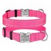 Нашийник для Собак BronzeDog Active Нейлоновий зі Світловідбиттям та Металевою Пряжкою Рожевий  M(33/1306/Т) 