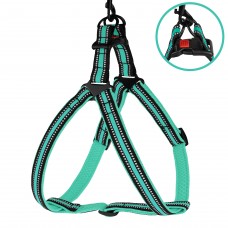 Шлея для Собак BronzeDog Mesh Стандарт Ментолова  L(82208/Т) 