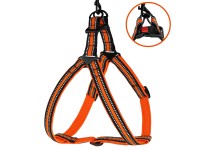 Шлея для Собак BronzeDog Mesh Стандарт Помаранчевий L(82204/Т) Шлея для Собак BronzeDog Mesh Стандарт Помаранчевий L(82204/Т)