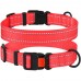 Нашийник для Собак BronzeDog Active Нейлоновий зі Світловідбиттям та Пластиковою Пряжкою Кораловий  S(50/1224/Т) 