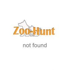 Будка для котів і собак Zoo-hunt Геросс №1 36х32х32 см бірюзовий 